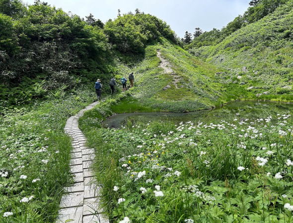 水平道