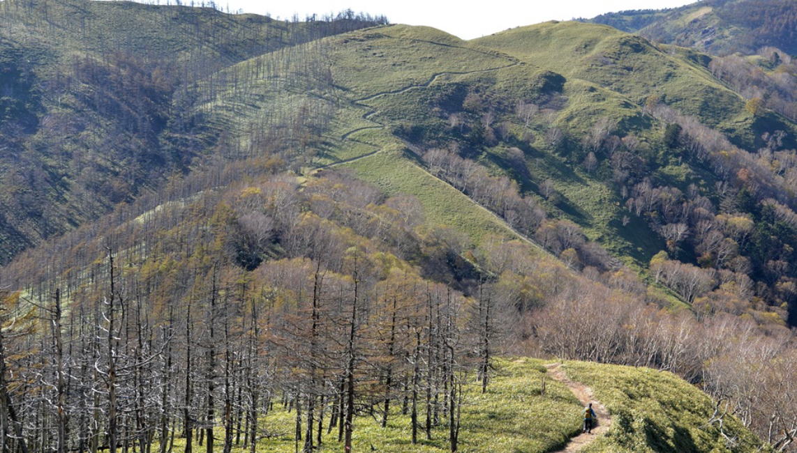 整備された登山道