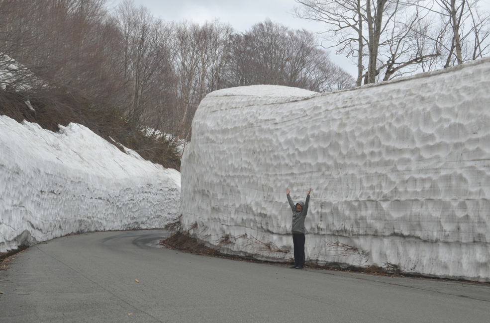 道路の雪の壁