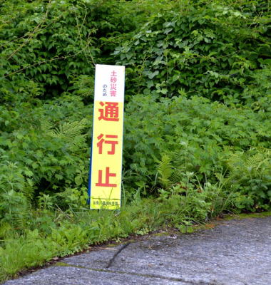 焼山林道