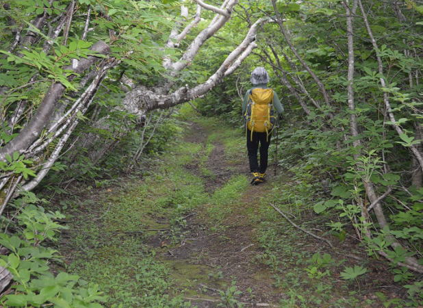 北面台地の登山道