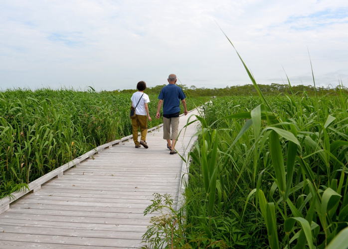 釧路湿原