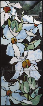 ヒマラヤの白い芥子の花