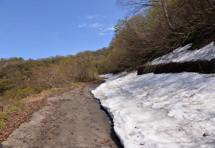 焼山林道