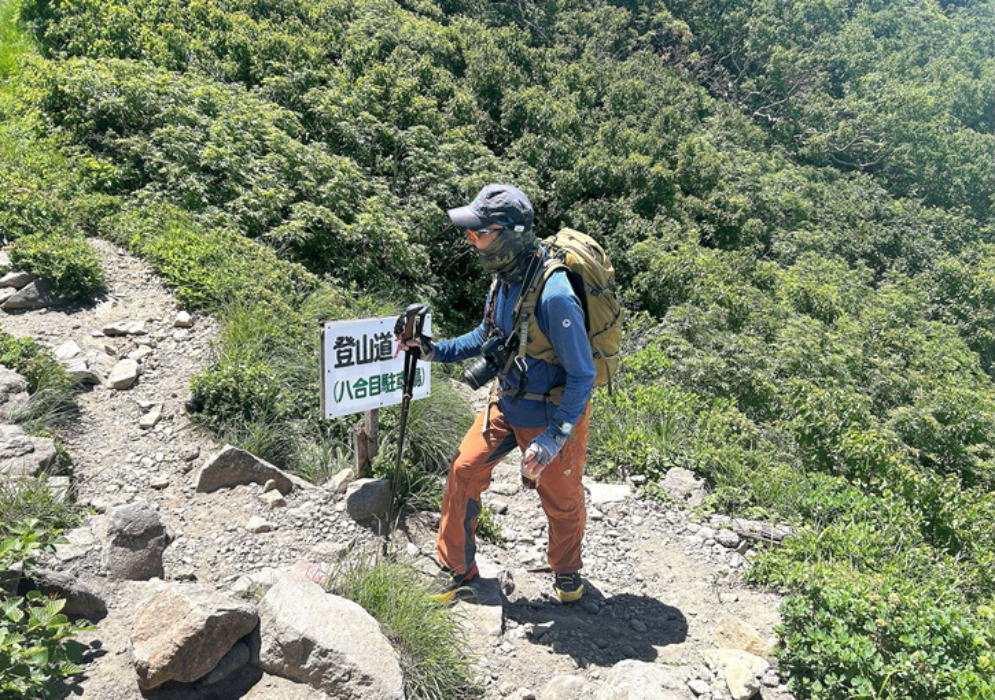 登山道