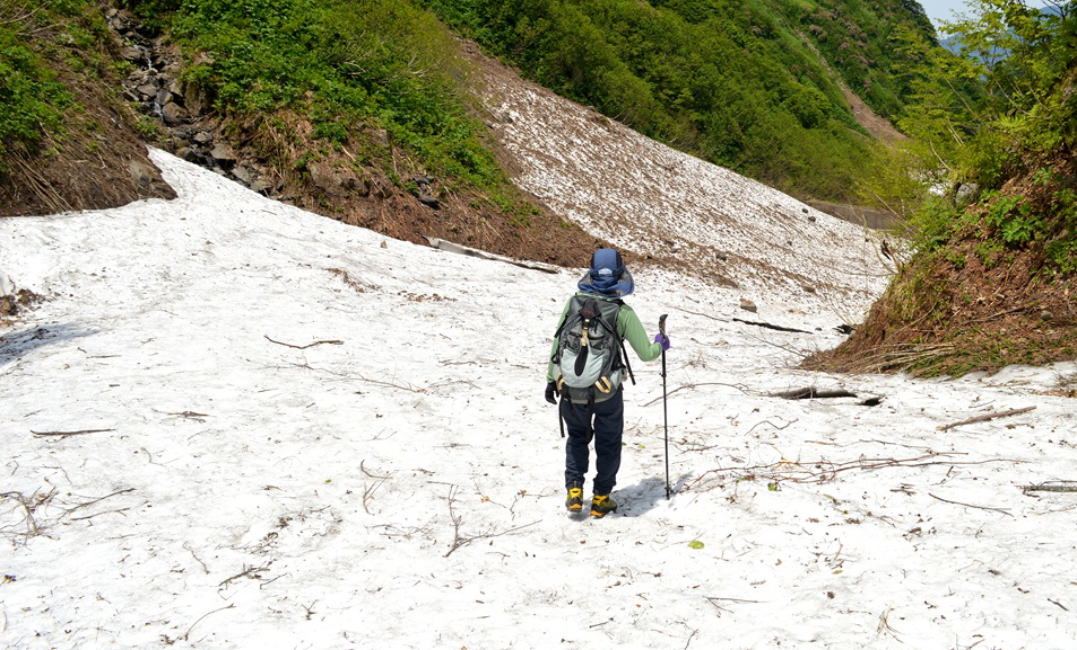 雪崩の巣