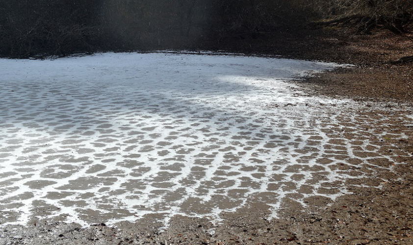 たまらずの池氷紋