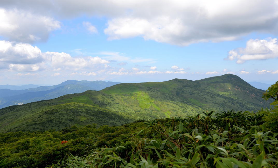 天馬尾根