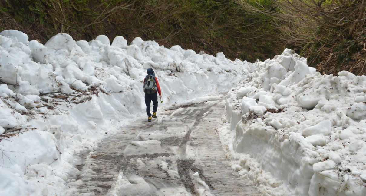 林道除雪