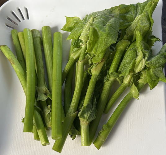 山菜のうどぶき
