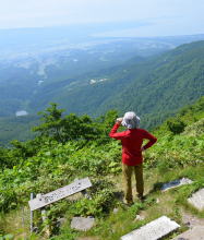 金北山
