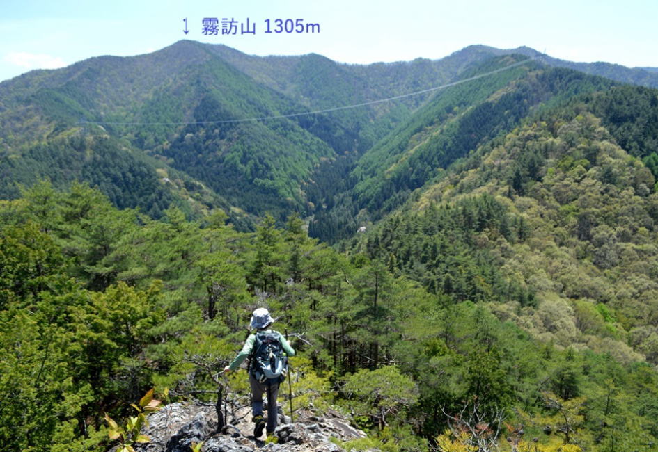 霧訪山への稜線