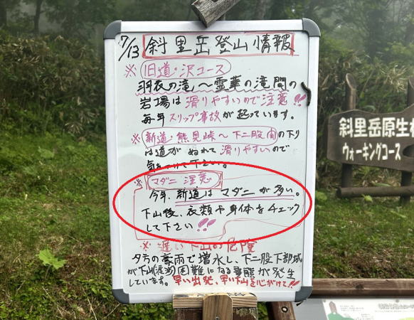 登山情報