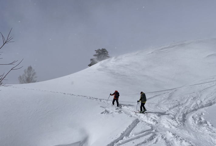 自然園と天狗原への分岐
