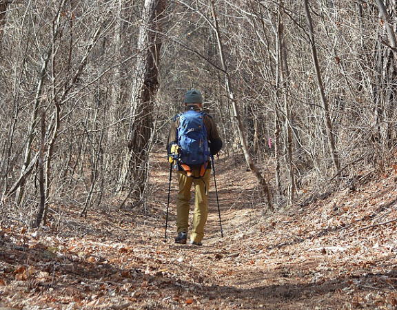 陽だまりの登山道