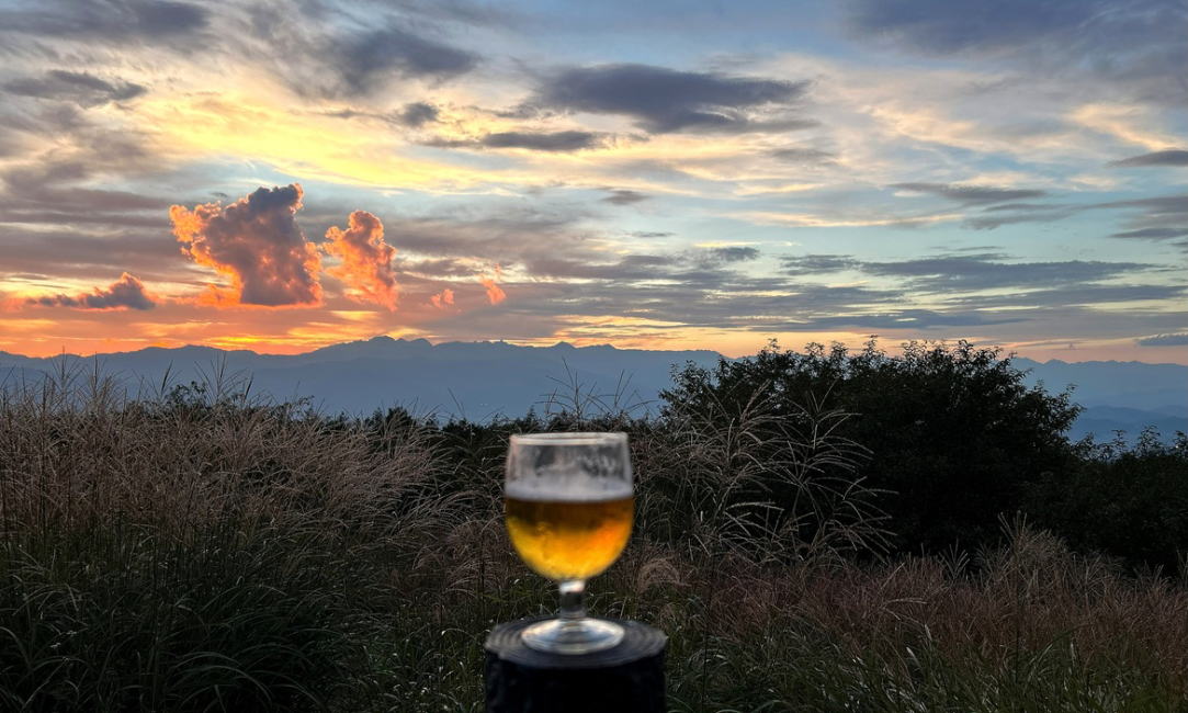 ススキとビールで乾杯