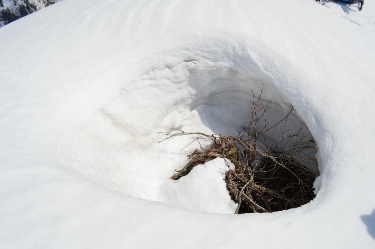 風の造形雪の穴
