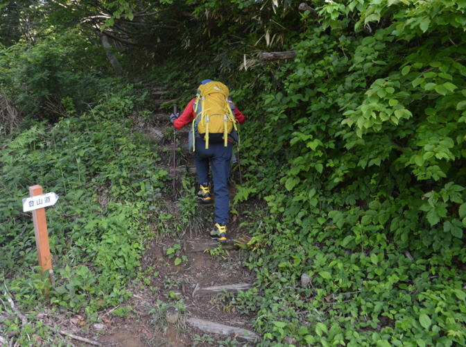 水野林道登山口