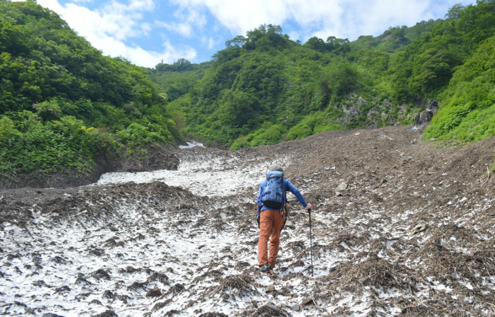 雪渓散策と雪崩跡
